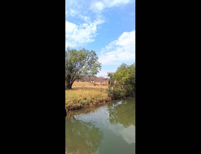 272HA FARM FOR SALE IN KOSTER